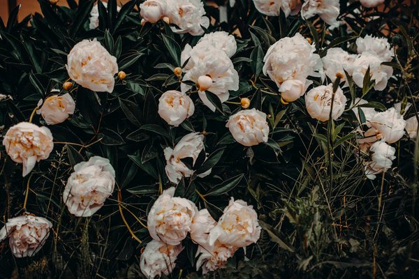 Idées déco uniques pour un brunch de Pâques inoubliable : osez l'exceptionnel !